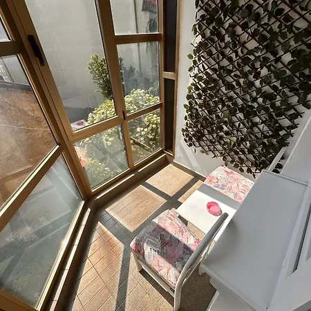 Urban Nest